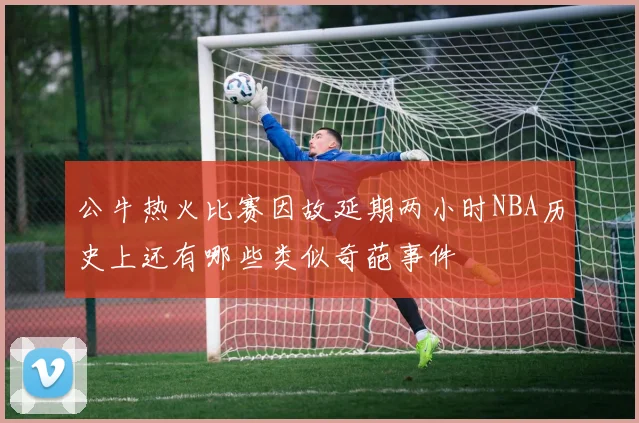 公牛热火比赛因故延期两小时NBA历史上还有哪些类似奇葩事件